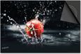 Dietrix Inductie Beschermer - 81x52cm - Splash Tomaat