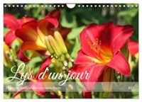 Lys Calvendo Lys d'un jour (Calendrier mural 2027 DIN A4 vertical)