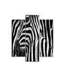 Homemania Wandafbeelding, zebra, 3-delig, dieren, woonkamer, slaapkamer, meerkleurig, 57 x 0,3 x 60 cm, HM203MDF238, MDF
