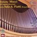 Roberto Syrius Organ Works - Organ Mascioni Sala Piatti