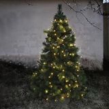 STAR TRADING Lichtsnoer Treelight LED m. 8 snaren