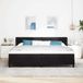 Maison Exclusive - Lit boxspring avec tête de lit, noir, 200 x 200 cm, velours