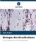 Biologie Verlag Unser Wissen Biologie des Brustkrebses Paperback