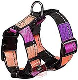 Nylon Skate Nylon riem T15