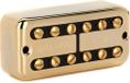 DiMarzio DP 293GBK PAF’Tron™ Neck Gold Cover, Black Insert