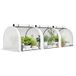 Serre de jardin tunnel 3x1x0,8m - Bâche PE 140g/m² anti-UV - Structure acier - 3 fenêtres d'aération - Blanc