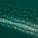 Lumineo Led Compact Lights Twinkel 2kl - Decoratie - 1600 cm Warm Wit Warm Wit 750 led