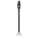 Wieland Electric 96.232.9034.1 Aansluitkabel Zwart 9000 mm