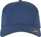 Flexfit Delta Pet L/XL Blauw