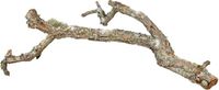 TRIXIE Kurktakken Mix 15x1kg - Natuurlijke Klimmaterialen voor Reptielen, Vogels en Knaagdieren