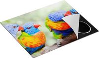 Chefcare Inductie Beschermer Vier Regenboog Lori Vogels op een Tak - 65x52 cm - Multicolor - Inductie Mat
