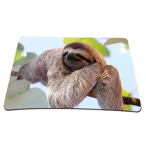 Pedea 67007067 - Muismat - multi