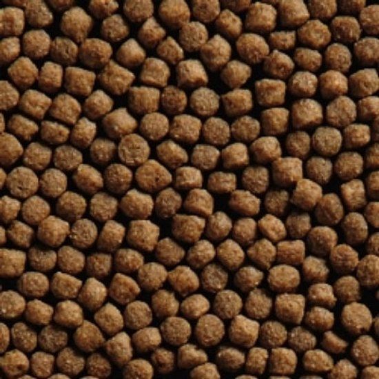 Vivani koivoer Wheat Germ - 6 mm - 15 Kilo Zak