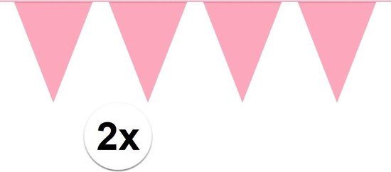 BTH Roze Vlaggenlijn - 20 Meter - Verjaardag - Binnen & Buiten