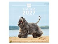 Finocam International Wall Calendar 2027 | Dogs Images | Monthly calendar. Planning, Organisation, Time Management & Productivity