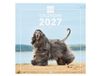 Finocam International Wall Calendar 2027 | Dogs Images | Monthly calendar. Planning, Organisation, Time Management & Productivity