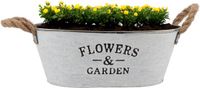 DK Design Plantenpot/bloempot teil Jardin- zink - wit - L30 x D20 x H12 cm
