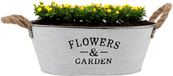 DK Design Plantenpot/bloempot teil Jardin- zink - wit - L30 x D20 x H12 cm