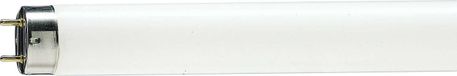 Philips Hue Philips MASTER TL-D Food fluorescente lamp 58,5 W G13 Wit
