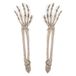 Beistle 2 Stuk 44,5 cm Spooky Thema Plastic Skelet Hand Yard Stakes Enge Halloween Gazon Decoraties, Vieren met U Sinds 1900, Wit/Grijs