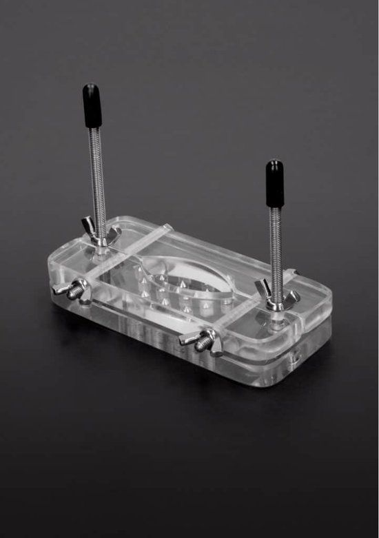 Triune Acrylic Ball Butcher with Spikes - Transparent