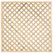 Tuindeco Trellis diagonaal recht met rechte lijst 180 cm