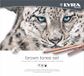 LYRA Brown Tones Schetching-set, 25 metalen etui, L2051250, bruin