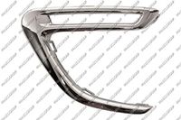 PRASCO Zier-/Schutzleiste, Kühlergitter PG2061203 rechts | Compatibel met: PEUGEOT 108