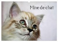 Mine Calvendo Mine de chat (Calendrier mural 2027 DIN A3 vertical), CALVENDO calendrier mensuel