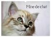 Mine Calvendo Mine de chat (Calendrier mural 2027 DIN A3 vertical), CALVENDO calendrier mensuel