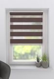 DTCH Duo Rolgordijn Splendid Open - Lichtdoorlatend - Brown - 80x180