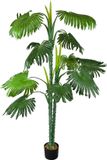 Merkloos Kunstpalm boom - Waaierpalm plant - Decoratie Huis - Natuurlijke uitstraling - 160 cm - Groen