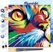 Figured'Art Mini Schilderen op Nummer Volwassenen 20x20cm met lijst Katachtige Pop Art