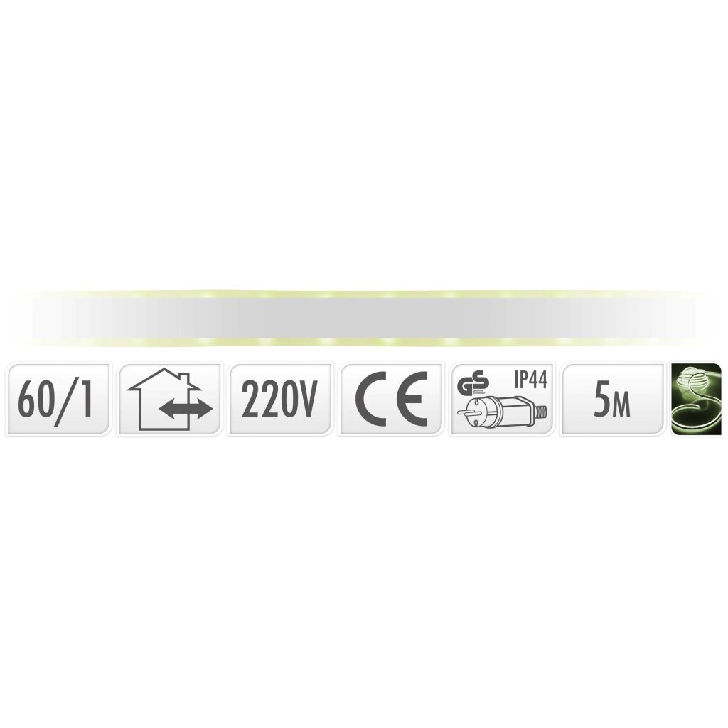 DecorativeLIghting LED Neonlight 5 meter wit