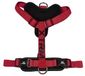 Nayeco X-trm Cronos Harnais Flash Néon Chien Rouge 15 mm x 35-60 cm