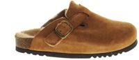 Scholl Fae Clogs Wol Cognac Maat 36