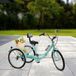 Corvance B.V. Tricycle - Vert