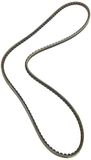 Dayco 10A1450C aandrijfriem
