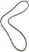 Dayco 10A1450C aandrijfriem