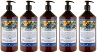 Claudius Cosmetics B.V. Claudius Bodylotion Orange 1 Liter - Set van 5 stuks