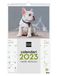 Finocam Kalender 2023 spiraal wandafbeeldingen om te schrijven januari 2023 - december 2023 (12 maanden) Catalaanse puppy's
