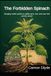 The Forbidden Spinach: Stinging nettle guide to safely pick, eat, and use this prickly weed