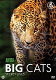 Big Discovery Channel Big Cats Secret Lives