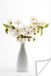Merkloos / Sans marque PosterMonkey B.V. Poster 60x90 cm - Stilleven - Vaas - Bloemen