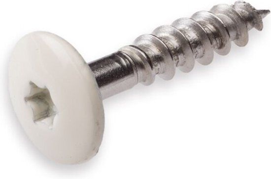 Hoenderdaal Fasteners Hoenderdaal HPL Schroef RVS-A2 Torx TX20 Parelwit RAL1013 4.8x25 | 100 stuks