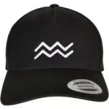 Mister Tee Zodiac Aquarius Snapback Pet