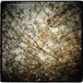 Thistled Horse Feathers Thistled Spring LP