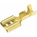 Vogt Verbindungstechnik 3803.67 Prise femelle Largeur d'insertion : 4,8 mm Épaisseur d'insertion : 0,5 mm 180° Non isolé Métal 1 pièce(s)