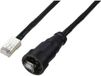Tru Components câble RJ45 avec câble droit, IP67 (filetage), CAT5E, 0,5 m