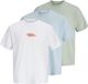 JACK&JONES JCOFUSION SMALL FRONT BRAND 3PK MP JNR Jongens T-shirts Maat 176